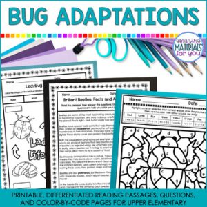 Insects Bugs Spiders Differentiated Reading Passages Questions Color By Code
